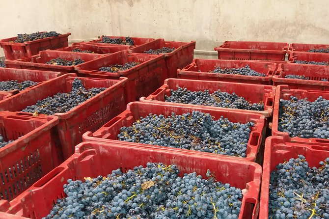 Salt Mine, the Muddy Volcanoes and Wine Tasting Private Day Tour from Bucharest! - Lacerta Winery in Fintesti: optional tastings on the weekend
