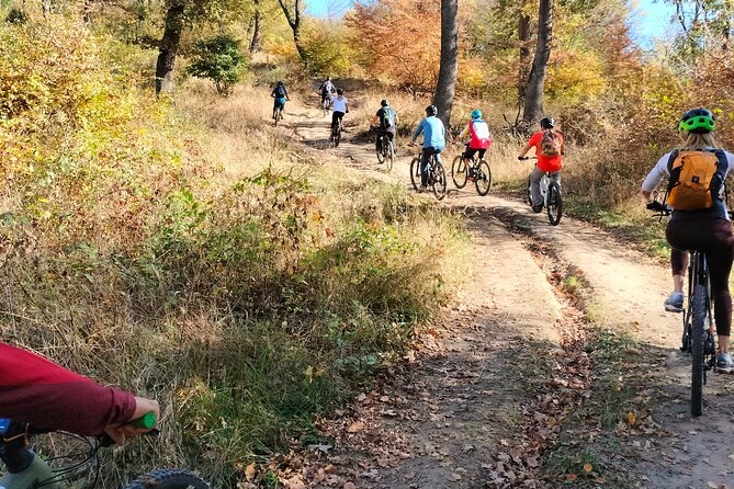 Sambata de Sus: E-Bike Guided Tours - Key highlights to know before you go