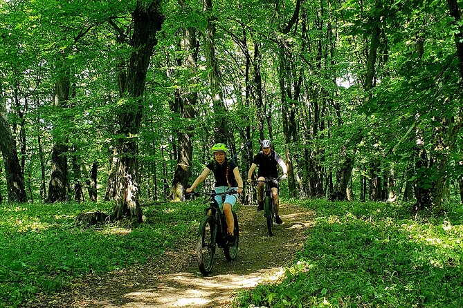 Sambata de Sus: E-Bike Guided Tours - E-bikes and mountains, starting in Sâmbăta de Sus