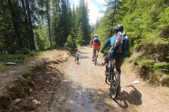 Sambata de Sus: E-Bike Guided Tours - Who should book this e-bike tour, and who should skip it