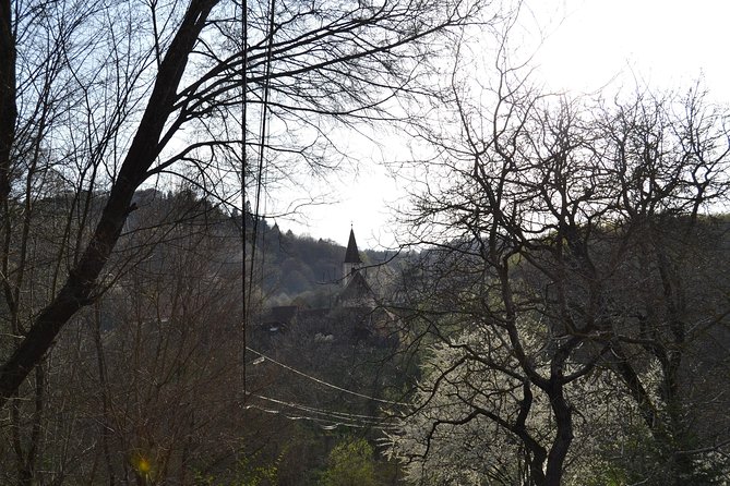 Saxon Heritage in Transylvania: Day Trip from Cluj-Napoca - Cristian Fortified Church: where Saxon life mixed with security