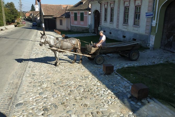 Saxon Heritage in Transylvania: Day Trip from Cluj-Napoca - Price and value: what you’re really paying for