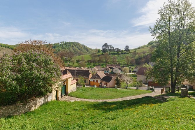 Saxon Secrets: The Malancrav & Biertan Experience - The Frescoes in Mălâncrav, Why They Matter Beyond a Photo