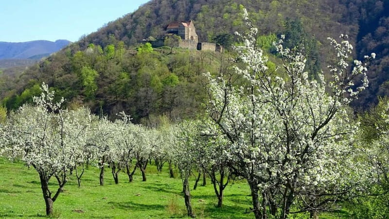 SB13 - Sibiu:Private Half Day Trip to Transylvanian Villages - Meeting your guide and getting to the villages smoothly