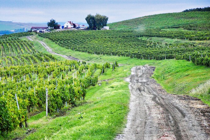 Sibiu and wine tasting, day tour from Cluj - Key things I’d plan around