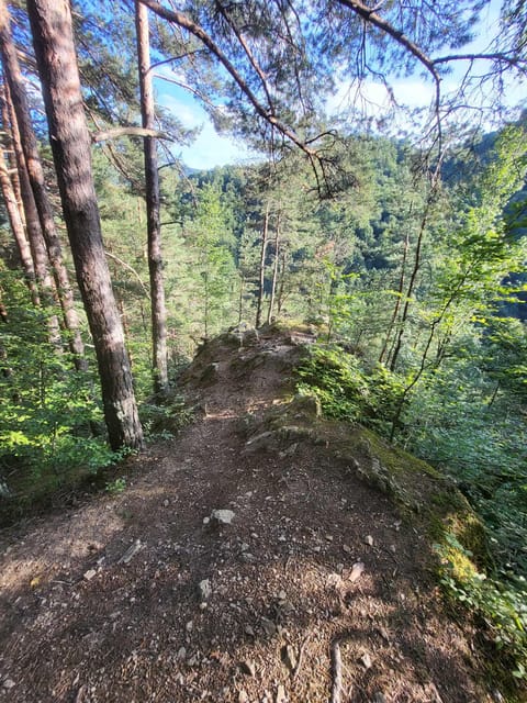 Sibiu: Cindrel Mountains Hike with Traditional Brunch - Cindrel Mountains near Sibiu, and why this hike works