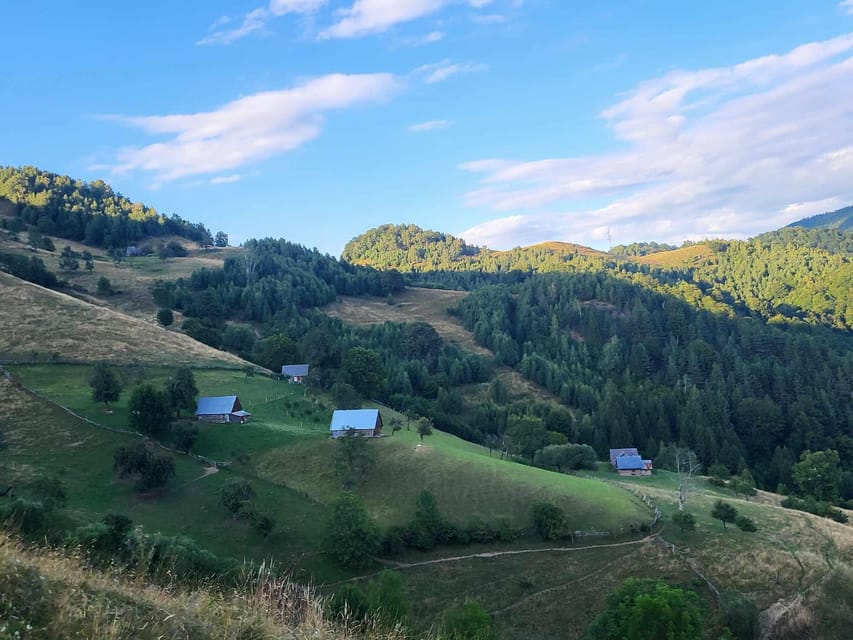 Sibiu: Cindrel Mountains Hike with Traditional Brunch - On the trail: forests, meadows, and real mountain pace