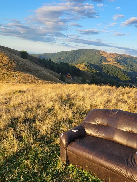 Sibiu: Cindrel Mountains Hike with Traditional Brunch - Price and logistics, plus what you should budget