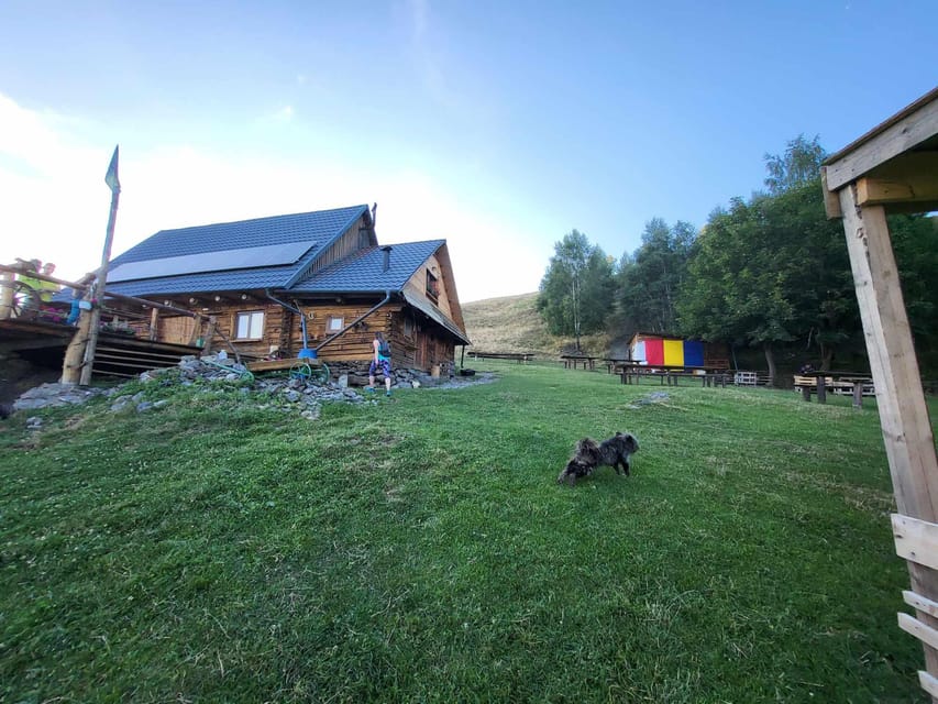 Sibiu: Cindrel Mountains Hike with Traditional Brunch - What to pack so the day feels easy