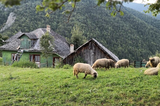Slanic Salt Mines & Village Charms: Bucharest Day Escape - Who this day trip suits, and who might want a different plan