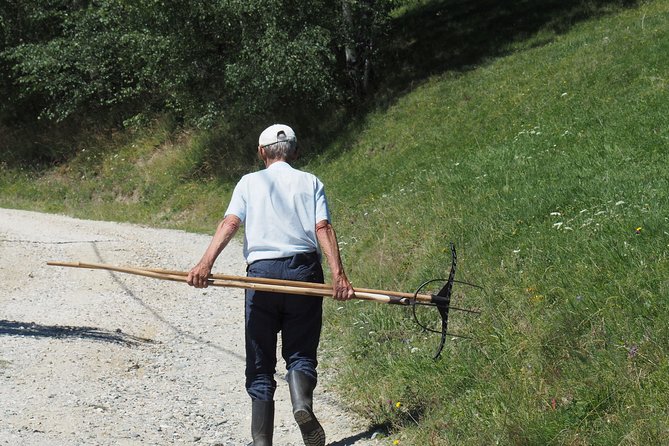 Small-Group Day Trip in Romanian Authentic Mountain Villages from Brasov - From Brasov, The Day Starts Easy (And Stays That Way)