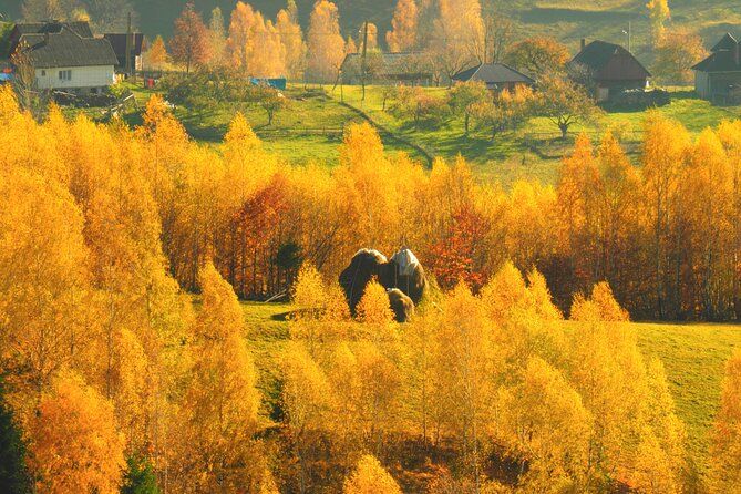 Small-Group Day Trip in Romanian Authentic Mountain Villages from Brasov - Piatra Craiului National Park: Choosing Your Route Before You Walk