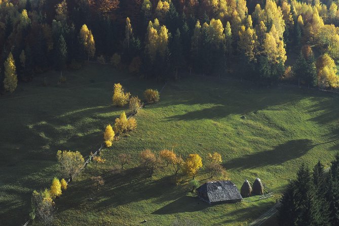 Small-Group Day Trip in Romanian Authentic Mountain Villages from Brasov - Lunch at the Oldest Guesthouse: Cheese Tastings and Real Mountain Food