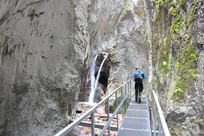 Small-Group Day Trip to the Epic 7 Ladders Canyon from Brasov - Pickup in Brasov and the ride to Piatra Mare