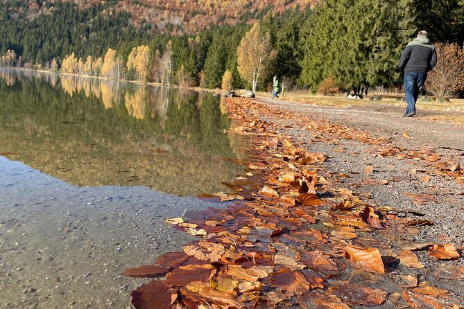 Small-group day trip to the unique volcanic lake in Eastern Europe - Private-leaning format and group size: what “small-group” really buys you
