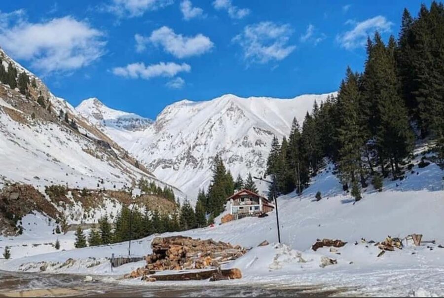 Small group max 7 - Bears Safari on Top Gear -Transfăgărășan - Key highlights you should care about