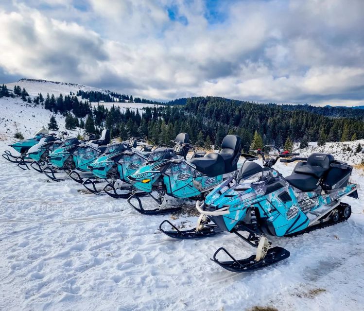 Snowmobile Tour In Bucegi Mountains - Key things to know before you go