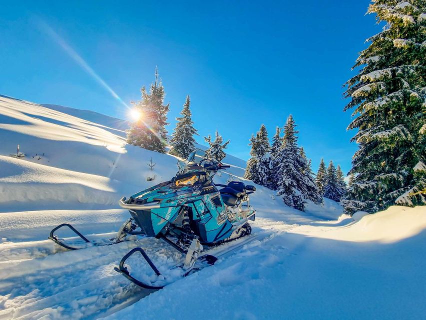 Snowmobile Tour In Bucegi Mountains - Snowmobile Handling Tips: Why the Guide’s Pacing Matters