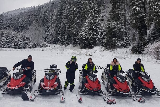 Snowmobiles, Sky Lift & Winter Sports - Private Tour - The forest snowmobile ride: speed, safety, and how your guide shapes the day