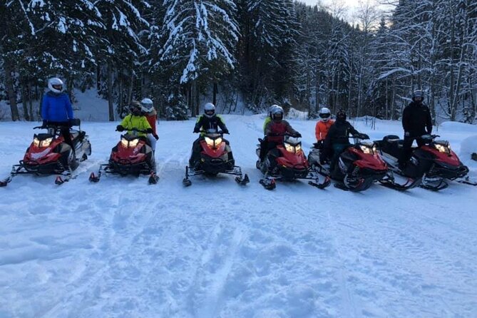 Snowmobiles, Sky Lift & Winter Sports - Private Tour - The cost that changes everything: 80€ cash-only snowmobile rental