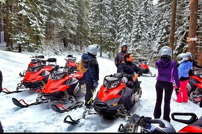 Snowmobiles, Sky Lift & Winter Sports - Private Tour - Timing, seasons, and weather: the Romania snow factor