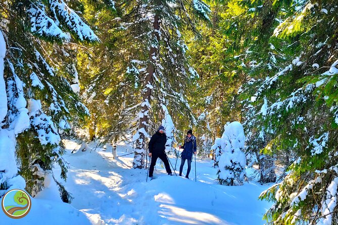 Snowshoeing Fun Tour from Cluj Napoca - Winter walking that actually makes sense: snowshoes, not slogging