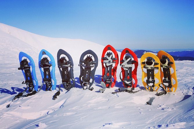 Snowshoeing Fun Tour from Cluj Napoca - Price and value at about $120 per person