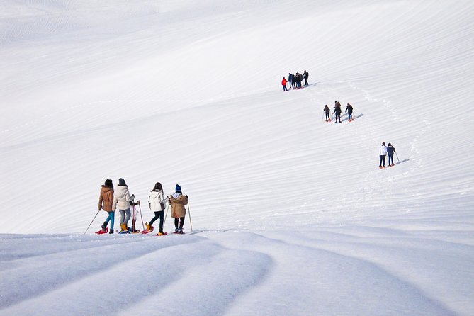 Snowshoeing Fun Tour from Cluj Napoca - Who this snowshoeing fun tour is best for