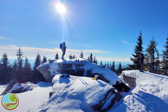 Snowshoeing Fun Tour from Cluj Napoca - Starting in Cluj-Napoca, with a morning start that gives you the day