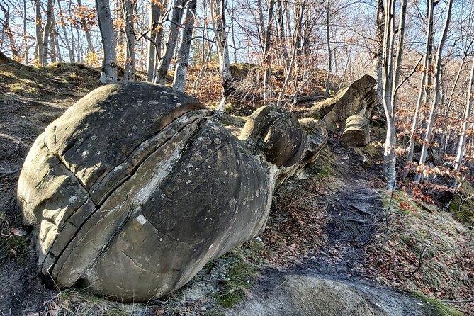 Strange Growing Stones and Mud Volcanoes in Buzau County - Price and value: what you’re paying for in this private format