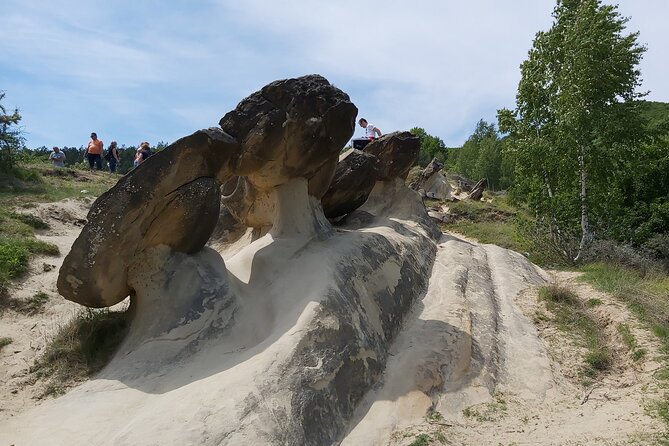 Strange Growing Stones and Mud Volcanoes in Buzau County - Should you book this Strange Stones and Mud Volcanoes tour?