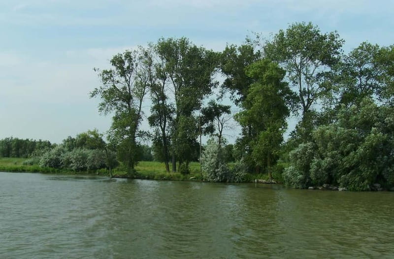 Sulina: Letea Forest Day Trip - Key things to know before you go