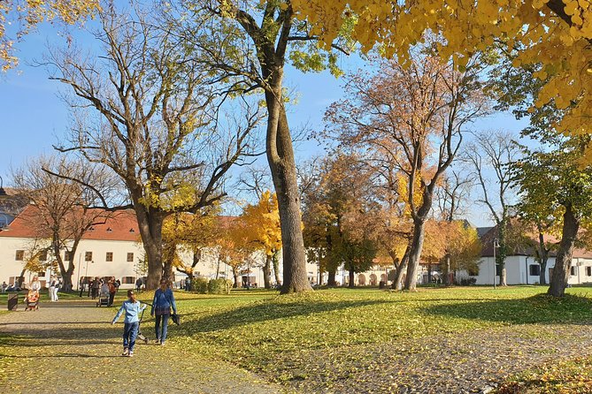 Targu Mures 3 hours walking tour - Biblioteca Teleki-Bolyai: the first public library in today’s Romania