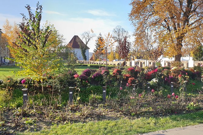 Targu Mures 3 hours walking tour - Cuza Voda market and the synagogue area on the way to Piata Mare