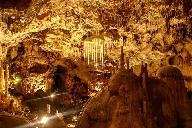 The Bear's Cave - One-Day Air conditioned car Tour from Oradea - Key things to know before you go