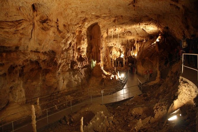 The Bear's Cave - One-Day Air conditioned car Tour from Oradea - Ethnographic Museum Included Free, Plus What It Adds