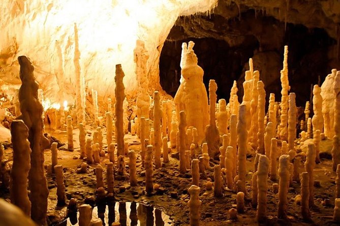 The Bear's Cave - One-Day Air conditioned car Tour from Oradea - Price And Value: Is $347.28 Worth It?