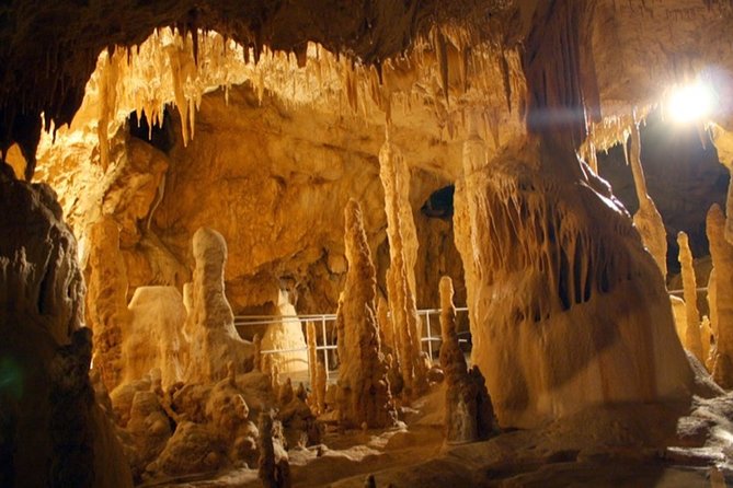 The Bear's Cave - One-Day Air conditioned car Tour from Oradea - Who This Tour Fits Best