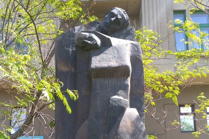 The Grand Tour of Communist Ages at Timisoara - Șagului Neighborhood: Daily Life Under Communism in Timișoara