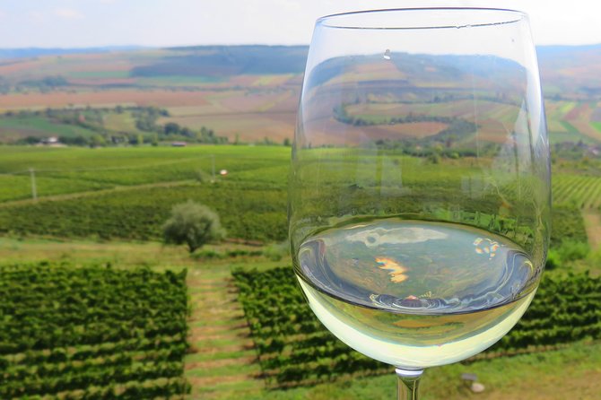 The wine route by bike - Key highlights you will actually care about