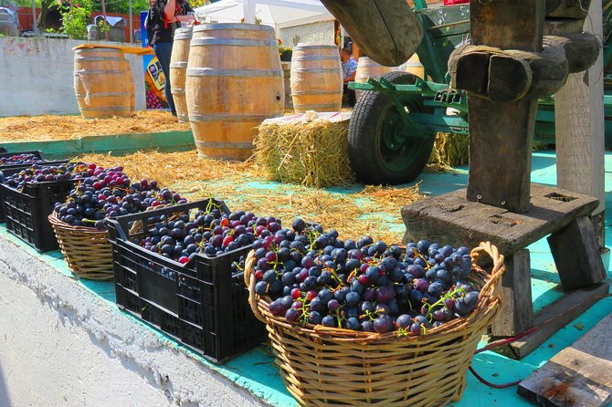 The wine route by bike - Cycling From Bucharest Into Dealu Mare Wine Country