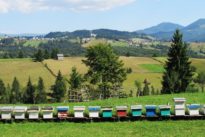 The wine route by bike - So, Should You Book This Bike-and-Wine Route?