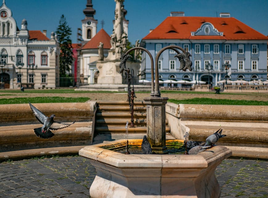 Timisoara: Private Walking Tour with a Local Guide - Cathedral and key buildings: what to look for beyond the postcard view