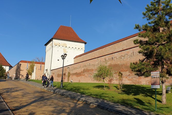 Tirgu Mures Airport Private Transfer - Landing in Tirgu Mures: what the meet-and-greet actually feels like