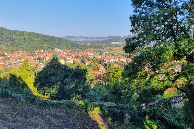 Tour of Bran CASTLE + Peles Castle + Brasov City from Bucharest - Private TOUR - Practical tips for getting through 10 to 12 hours without stress