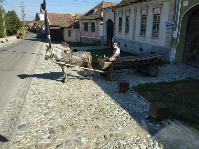 Tour of Sibiu - Church in Cristian - Village of Sibiel - Price and Logistics: Is $140 Worth It for an 11-Hour Day?