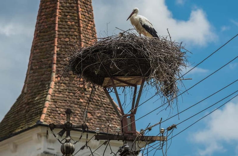 Tour of Sibiu - Church in Cristian - Village of Sibiel - My Practical Tips Before You Go