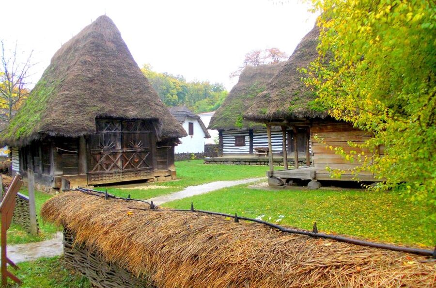 Traditions in Bucharest: Village Museum and Wine Tasting - The museum visit length: enough time to notice details, not enough to get bored