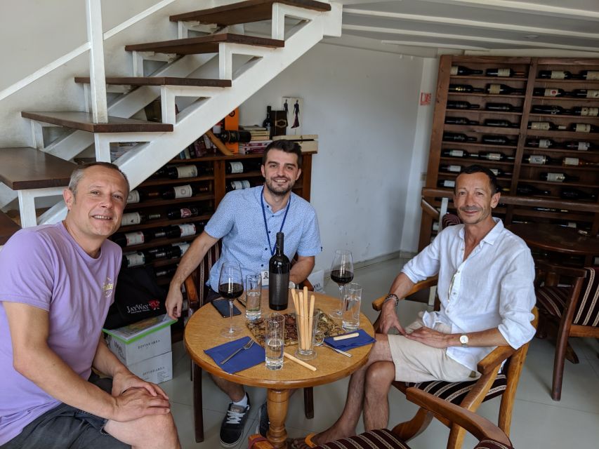 Traditions in Bucharest: Village Museum and Wine Tasting - The National Village Museum: the time capsule in King Michael Park