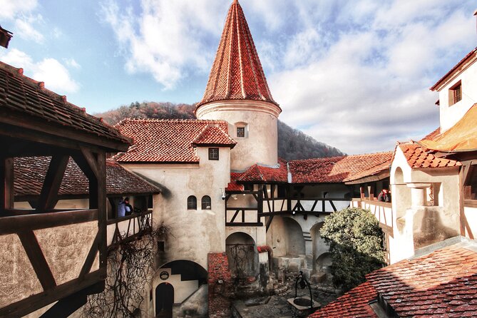 Transfăgărășan Highway & Sibiu - Premium Private Tour from Brașov - The guide experience matters more than you think